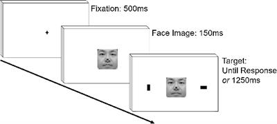 Low Salivary Testosterone Level Is Associated With Efficient Attention Holding by Self Face in Women